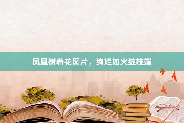 凤凰树着花图片，绚烂如火绽枝端