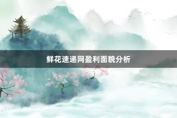 鲜花速递网盈利面貌分析