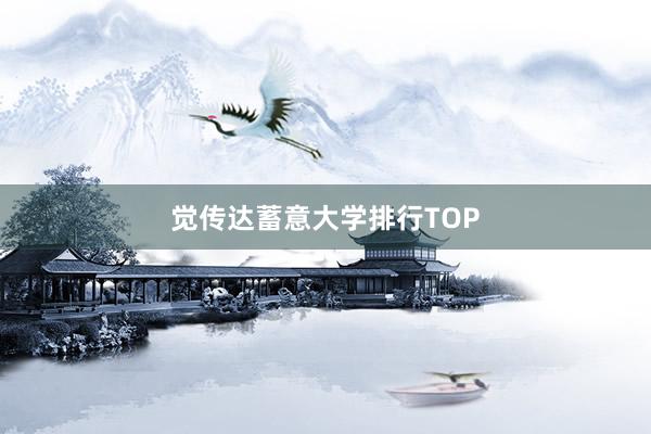 觉传达蓄意大学排行TOP